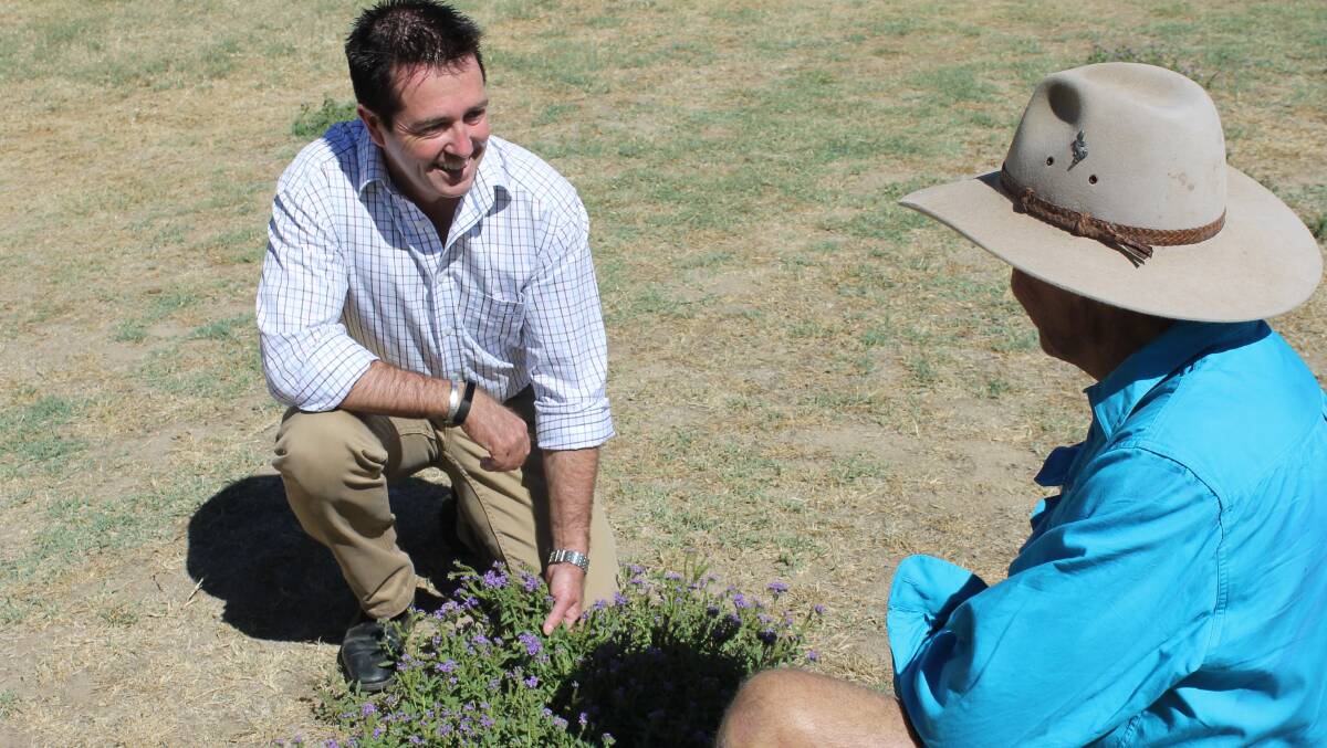 Have your say: With local weeds in full bloom, it’s a great opportunity to have your say on management in the Bathurst Electorate.