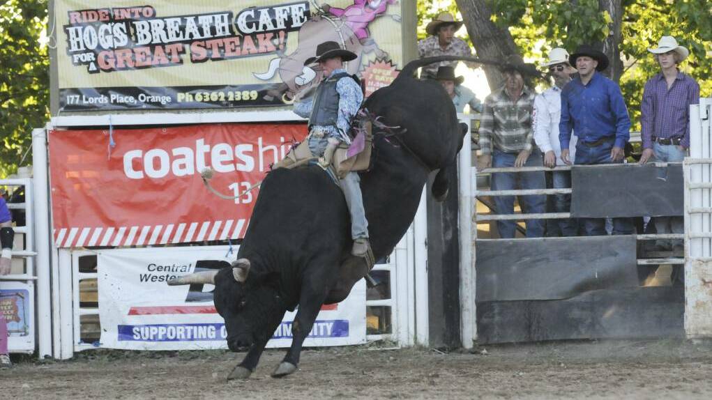 BUCK: Richard Treanor riding Night Stalker at the East Coast Bull and Bronco Championships in 2013. Picture: JUDE KEOGH
