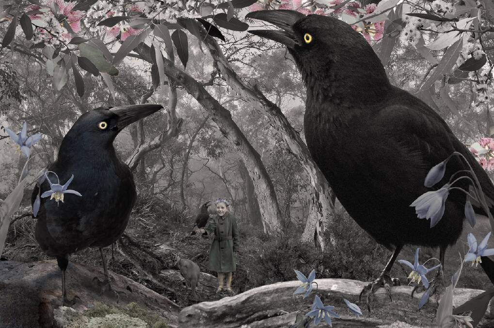 THE CHOIR: A work by Sue Daley to feature in the 'Birdlife and Botanica' exhibition this weekend. Picture: SUPPLIED.