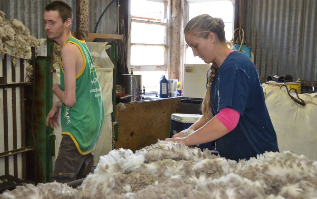 YEAR ROUND: Katie-Rose Rowley spends most of her year working in farmers' sheds during their shearing days. Picture: PHOEBE MOLONEY. 