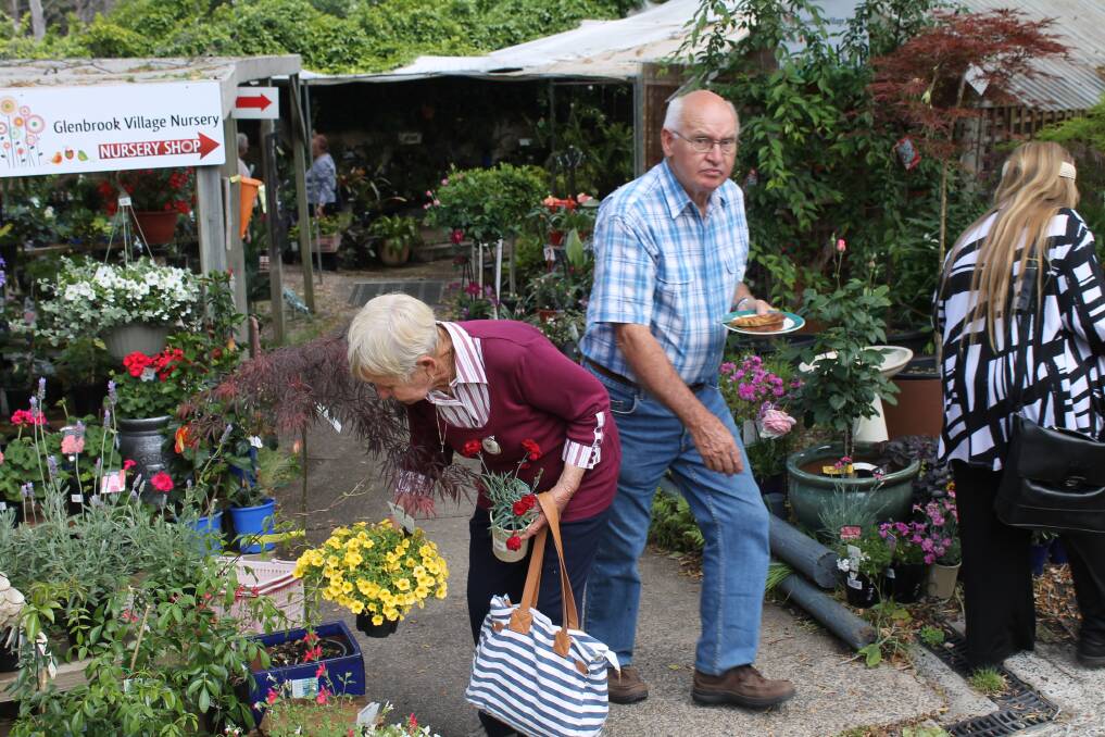 AT THE NURSERY: June Lane and John Joyce at the Glenbrook Village Nursery. Picture: SUPPLIED. 