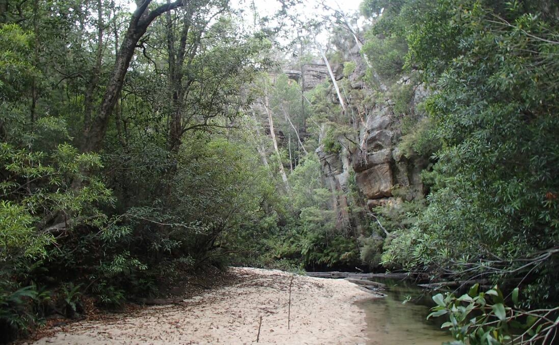 POLLUTED: The Wollangambe River is on national parks lands and is a declared 'wild river', it also falls into the Blue Mountains World Heritage Area. Picture: SUPPLIED