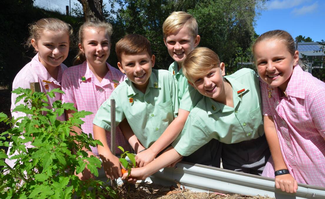 FUNDING GROWTH: St Patrick's students in Lithgow tend to the school's new veggie patch. Picture: PHOEBE MOLONEY. 
