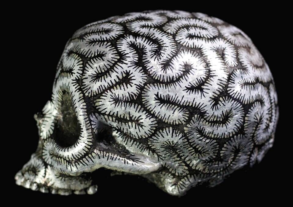 BRAIN CORAL: Sarah O'Sullivan's skull is a momento mori recalling human impact on the environment. Picture: SUPPLIED. 