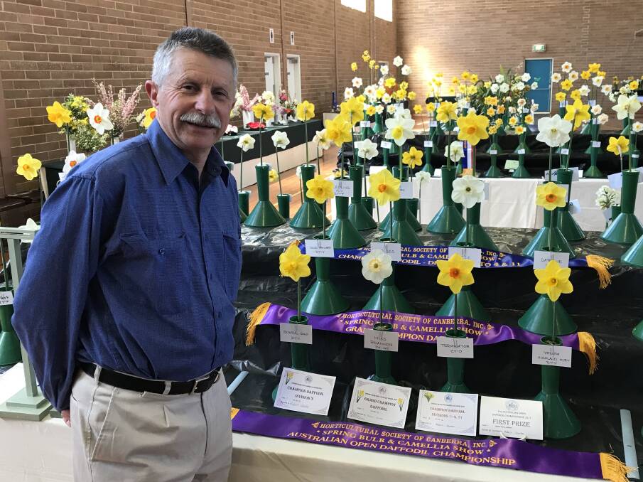 PRINCE OF PETALS: Lithgow resident Rob Slarke with his winning daffodils at the Horticultural Society of Canberra Spring Bulb Show. Picture: SUPPLIED.  