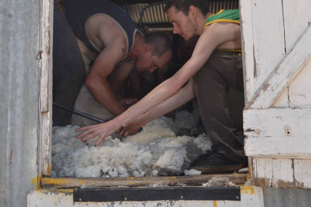 SHEARING DAY: Michael Macgee and Mitchell Chifley shearing merino sheep in Tarana. Picture: PHOEBE MOLONEY. 