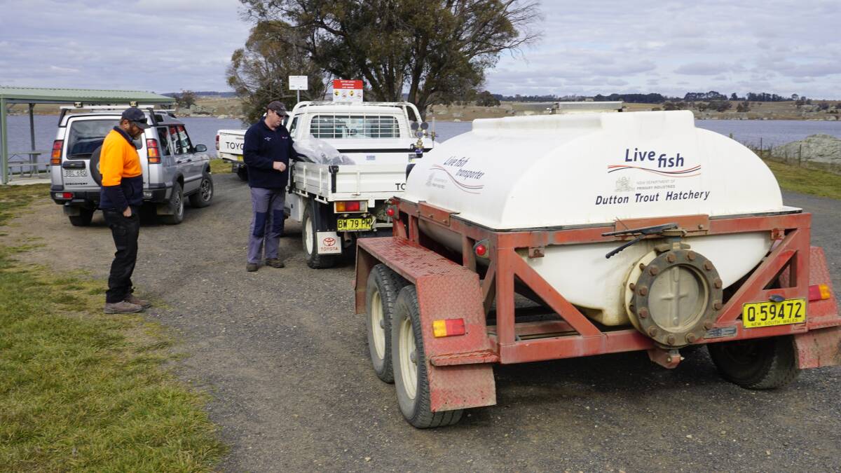 LIVE FISH MOBILE: How to transport fish when a plastic bag won't do. Hundreds of trout were driven to the dam from Dutton's Hatchery in Ebor. 