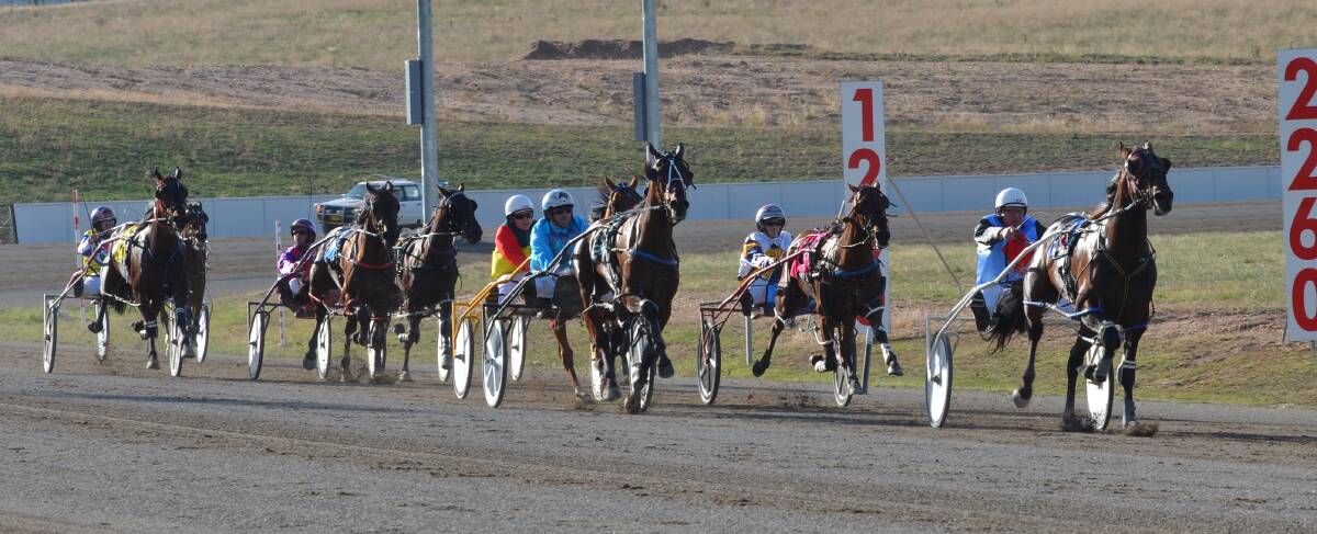 SOLID RUN: Castalong Shadow leads the field down the home straight on his way to victory for Geoff Simpson. Photo: ANYA WHITELAW