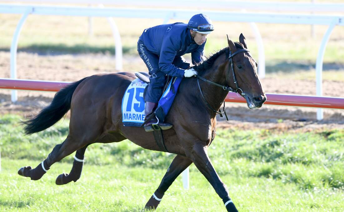 CONFIDENT: Jockey Hugh Bowman believes that Marmelo can help him to his first Melbourne Cup win. The English stayer ranks as one of the favourites for Tuesday's race. Photo: AAP