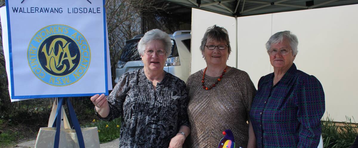 2015 DAFFODILS AT RYDAL: Wallerawang Lidsdale CWA’s Kay Adams, Margaret Henning and Sue Holt at last year's event. The local CWA branch will be back again for 2016 with a focus on connectivity.