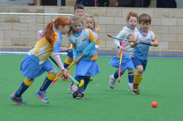 All the action from the Lithgow 2016 local hockey finals.