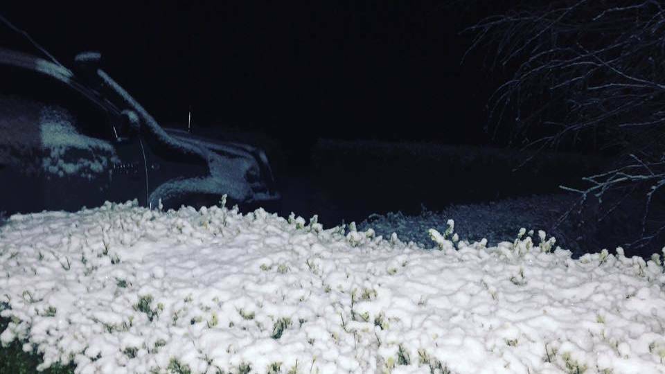 ALL WHITE: Heavy snow in Edith last Monday evening. Photo: SKYE FRESHWATER