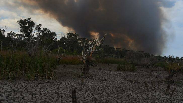 An out of control bushfire on Tuesday afternoon near Neath in Hunter Valley. Photo: Nick Moir