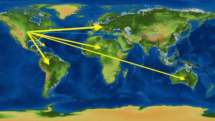 The infection mostly spread outward from North America to the rest of the world. Yellow arrows indicate strong links. Photo: European Society for Translational Antiviral Research