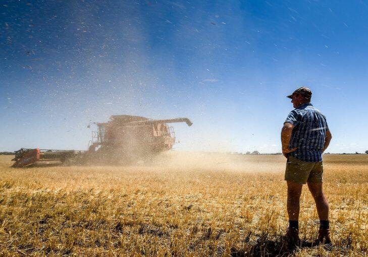 The Age, News 16/11/2015. photo by Justin McManus. Premier Daniel Andrews tours the Mallee speaking with farmers and locals and concerns and relief assistance. Crop farmer Leon Hogan on his property near Birchip. His wheat crop harvest is down 80% this year.