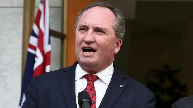 ANNOUNCEMENT: Deputy Prime Minister Barnaby Joyce. Photo: CANBERRA TIMES
