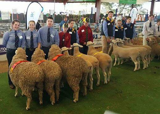 A SUCCESSFUL GROUP: Lithgow High School's agriculture team at the Dubbo Show, continuing their great success this year. Pictures: SUPPLIED. 