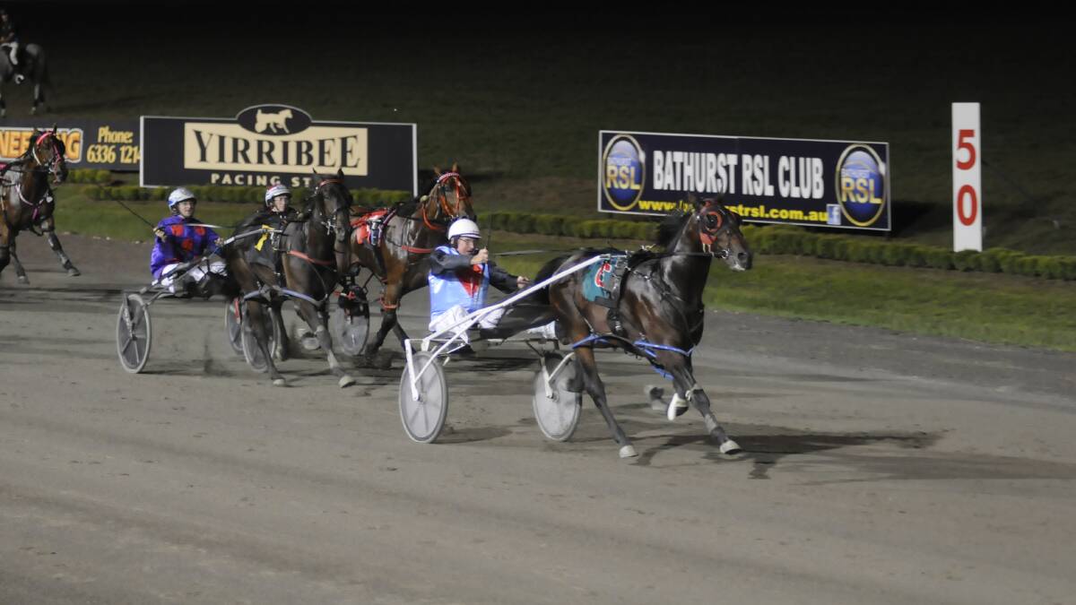 GOLDEN RUN: Lithgow's Geoff Simpson guides Castalong Shadow to victory in the Gold Crown Final. Photo: CHRIS SEABROOK. 