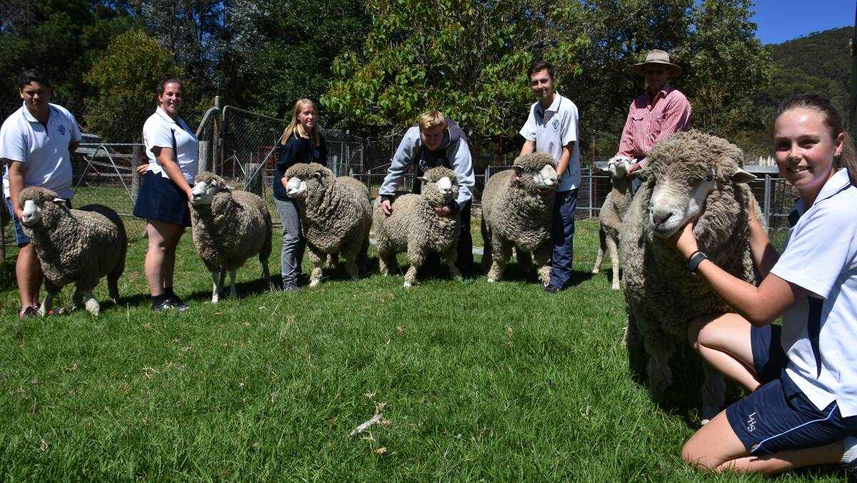 READY TO SHOW: Some of Lithgow High School's Agricultural Show team members, Peter Waru, Bridget Pate, Susan Falconer, Patrick Sorensen, Brock Coombs, teacher Jon Abbott and (at front) Katrina Abbott with Shaggy. Picture: KIRSTY HORTON.  