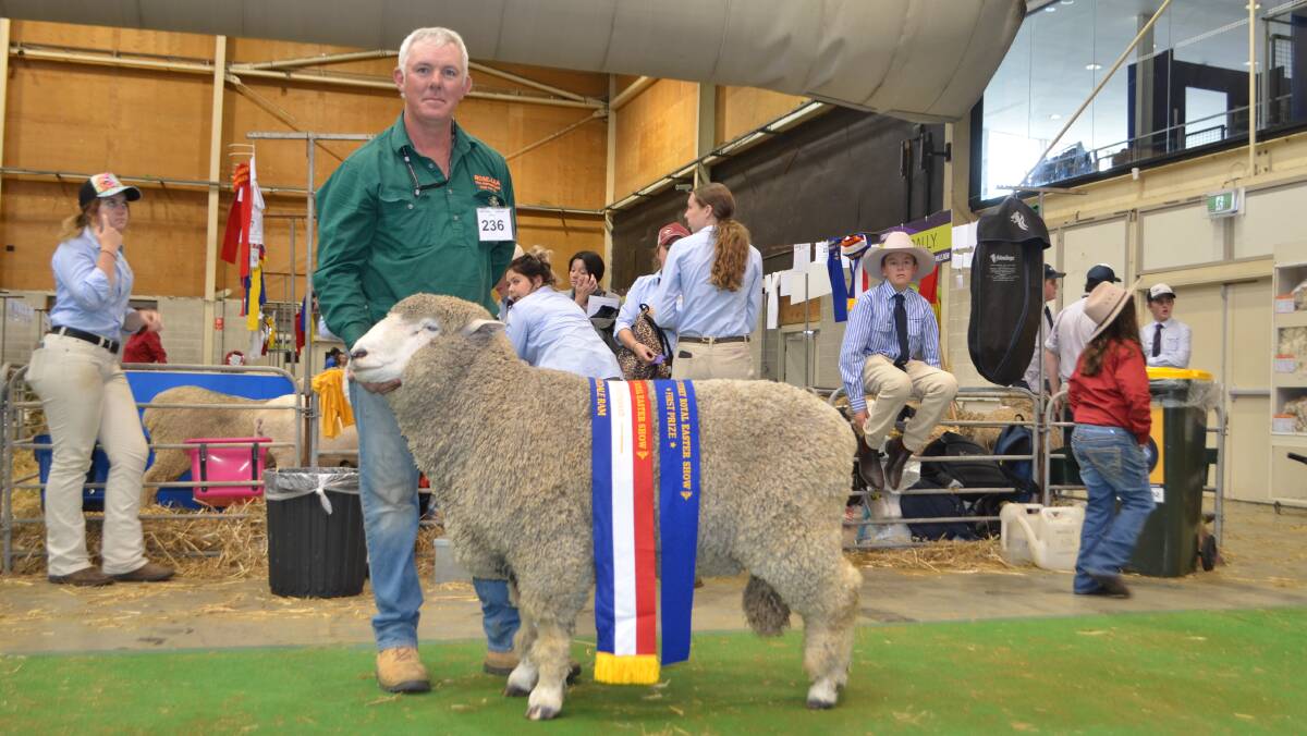 CHAMPION EXHIBITOR: Rick Hoolihan with his champion Corriedale ram. Picture: STEPHEN BURNS.