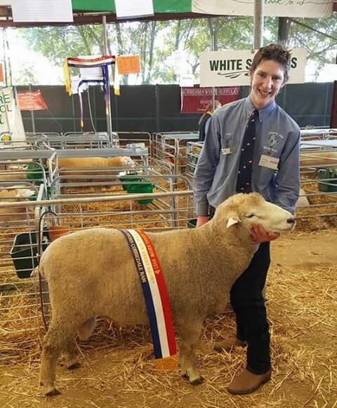 LEADING TO SUCCESS: Lithgow High School agriculture team's Jack Peterson with the champion shorn ram from the Dubbo Show. Pictures: SUPPLIED. 