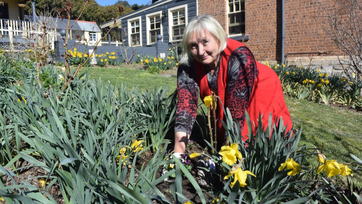 READY FOR THE FESTIVAL: Christina Lewis in preparation for her first year as part of the Daffodils at Rydal. Pictures: KIRSTY HORTON.