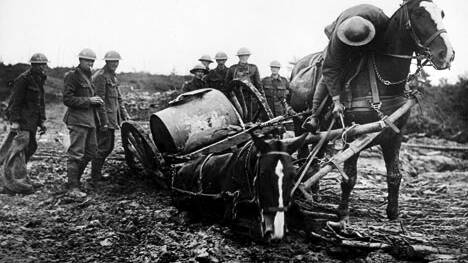 Historian and researcher John Lowe will host a talk on horses in World War I. 