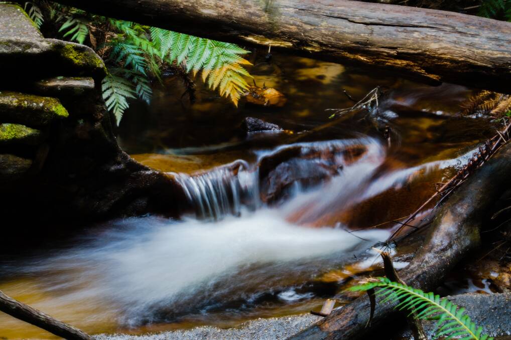 COLOURS OF THE CASTLEREAGH PHOTO COMP: Adam Smith captured this moment at a stream near the Glow Worm Tunnel, Newnes.