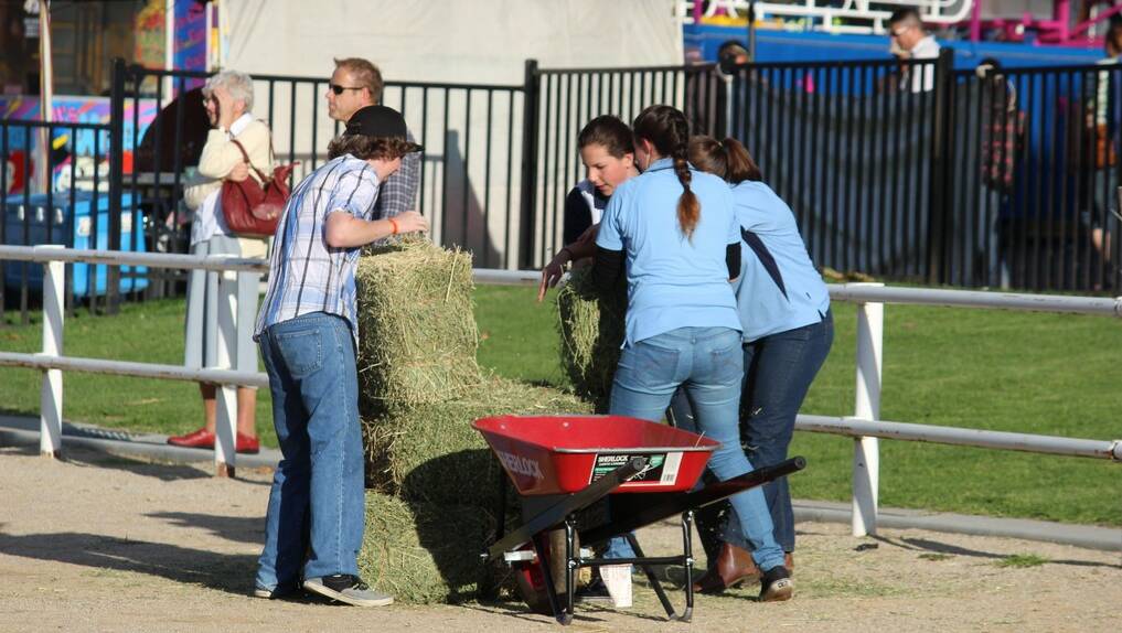 ACTION: Lithgow High take up the Lithgow Show Ag Challenge.