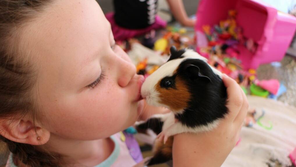 KISS AND TELL: Jessica Stephenson with guinea pig bubbles
	 lm041014selfie2