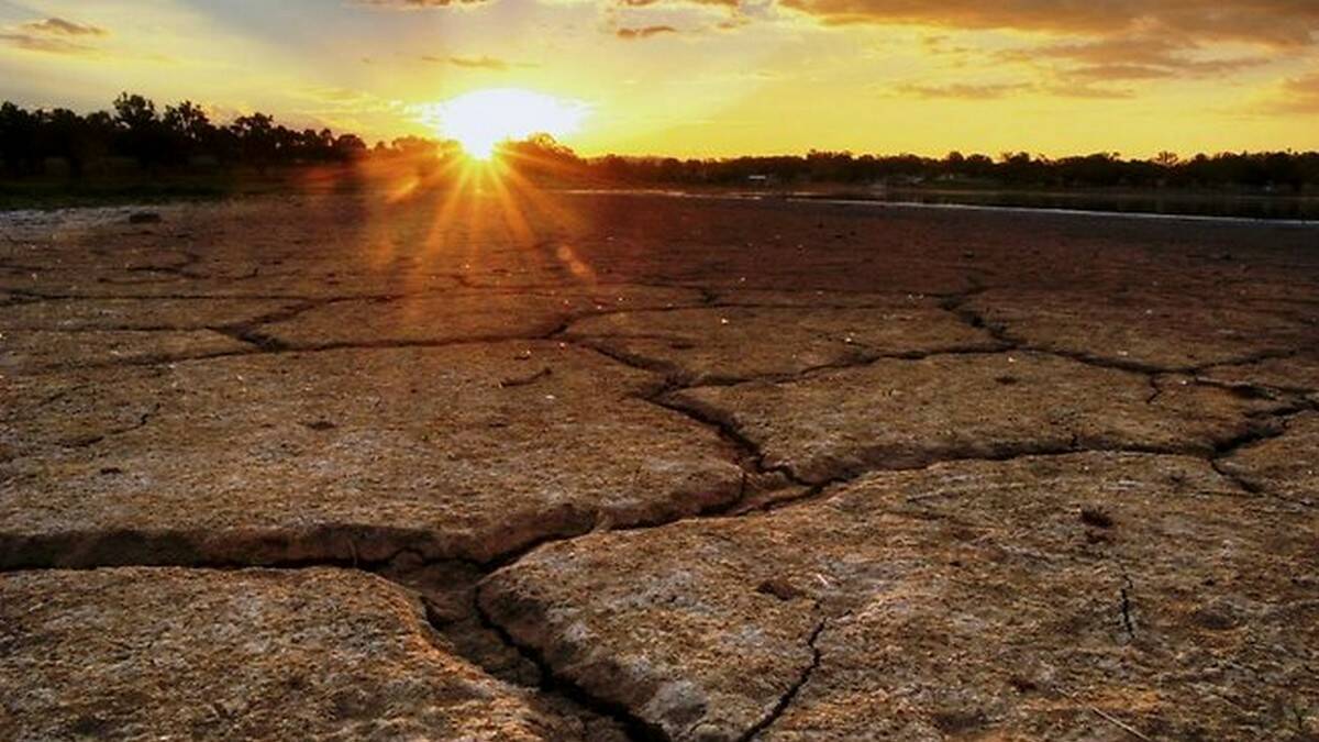 NSW Farmers urge the government to match the drought assistance  package with QLD