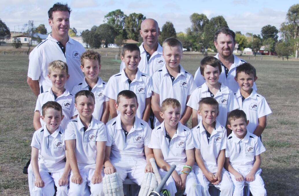 TALENTED: Portland Bluetongues under 10s (back row from left) Andrew Ward (umpire), Shane Green (coach) and Troy Cameron (manager);
middle, Nate Green, Logan Ward, Ethen Cutting, Ben McCulkin, Thomas Huijser and Brock Handley; front, Cody Philips, Joel Lamb, Kye
Cameron, Braith Green, Conner Miles and Deacon Cutting; absent Jayden Healey.