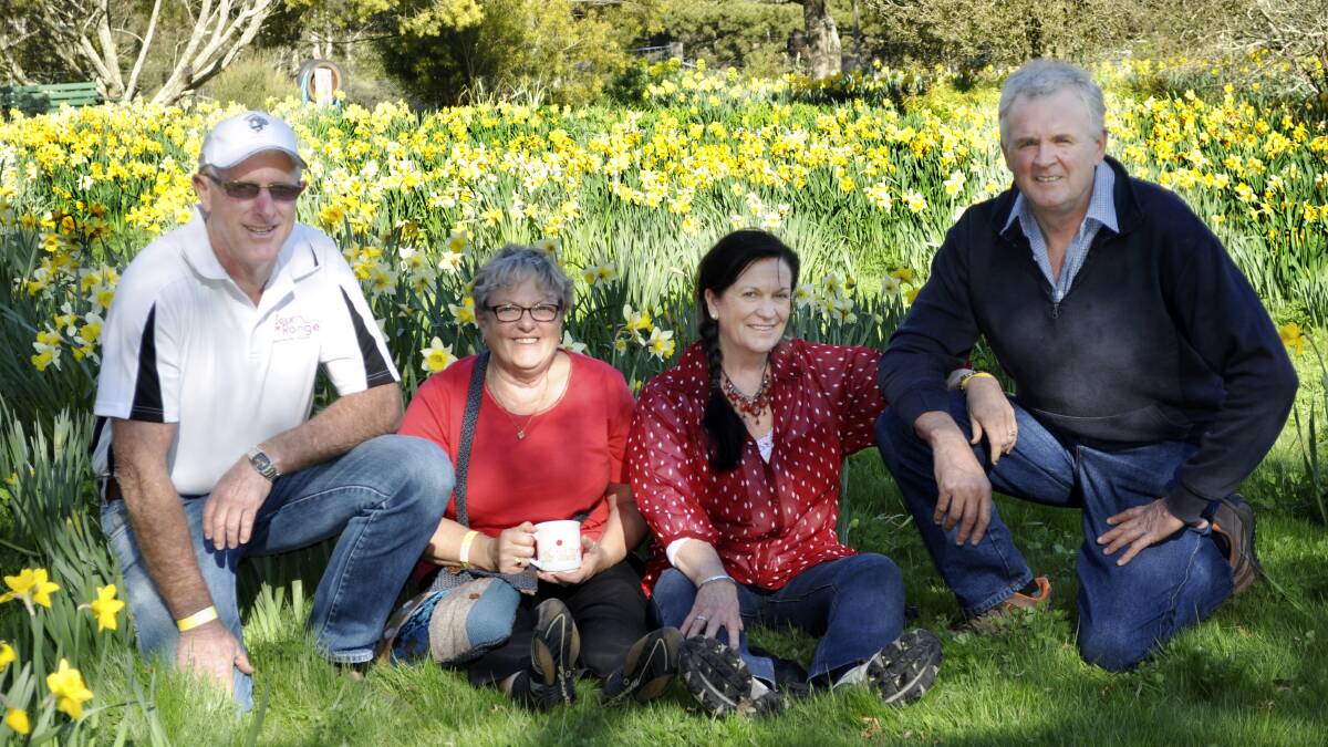 AMONG THE DAFFODILS: Des and Ros Francis with Kay Booker and Greg Tilley. 