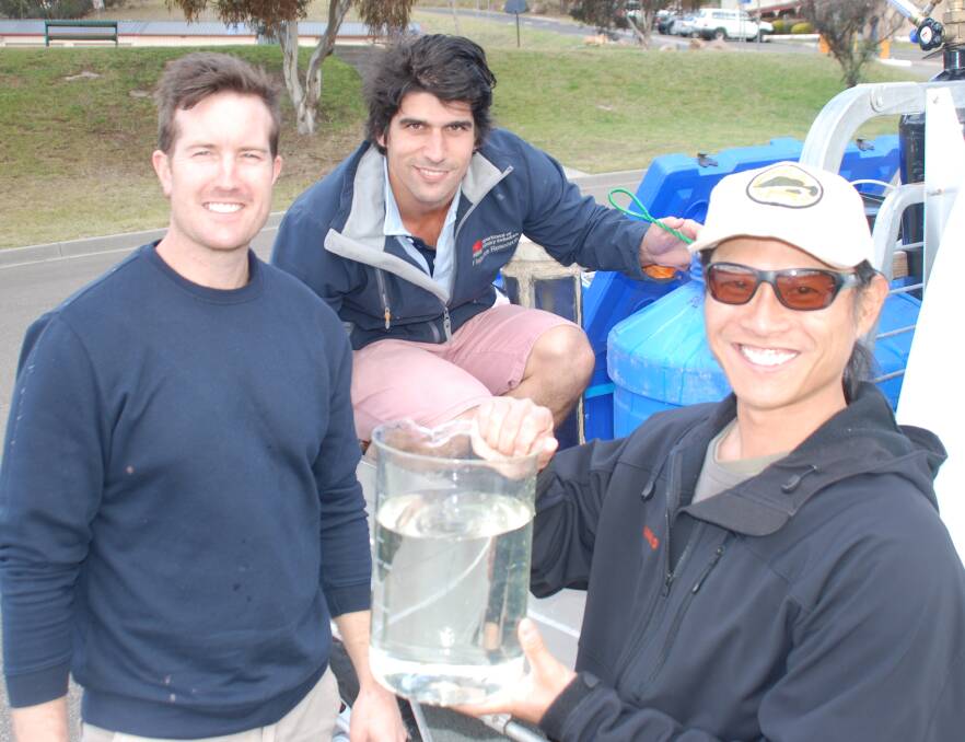 AN ONGOING TASK: NSW Fisheries’ Luke Vandenberg and Joseph Clarke with Ray Tang. 	lm082815fish3
