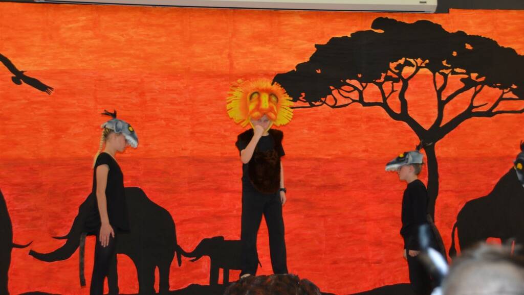 It has been a busy time for both staff and students at St Patricks School who have been rehearsing hard for their production of 'The Lion King'