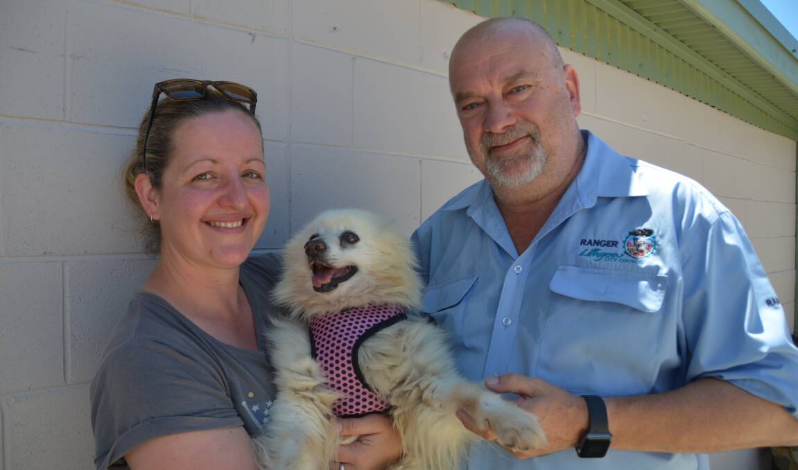 Elyshia Callis from Woof Dog Rescue, Ziggy and Lithgow City Council ranger Stewart, they're encouraging residents to sign up for a free microchip for their pets. Photo: DECLAN RURENGA