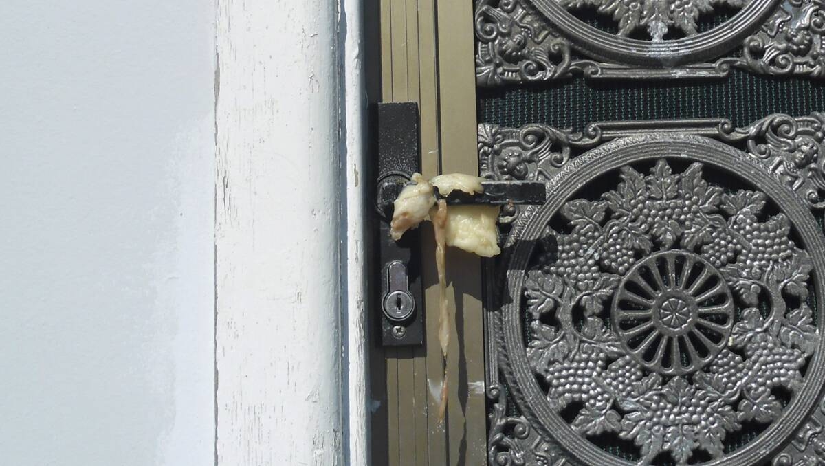 Animals remains left on the front door handle and steps