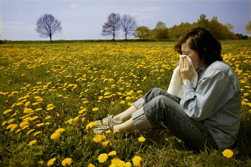 A woman sneezes in a field of flowers. File picture