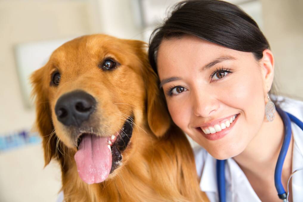 FURRY FRIENDS: A good relationship between your pet and your vet will make visits much easier.