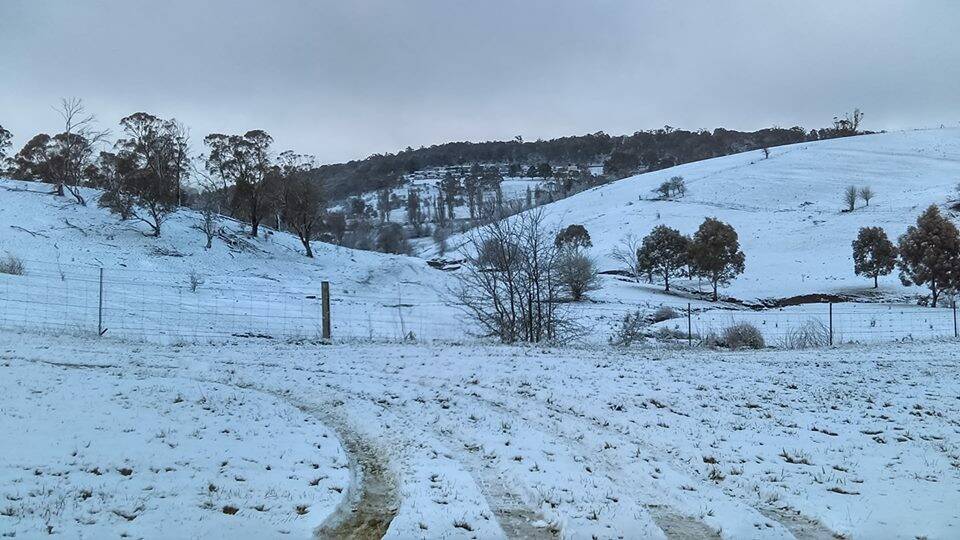 WINTER IS HERE: A contributed photo from Susan Taber on June 17 when snow fell across the high parts of the Central Tablelands. 