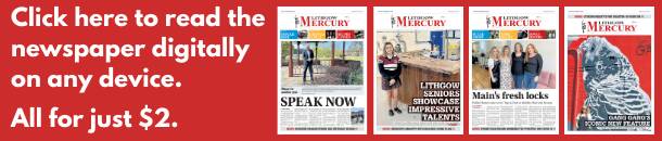 Bullying not accepted in Lithgow; Council draws line in the sand after Mercury article on abuse