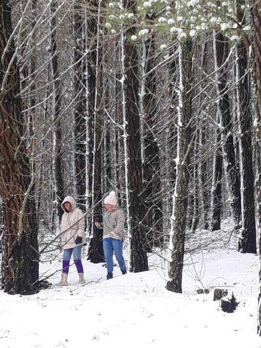 SNOW TIME: Sharon Otter and her daughter Madison, from Lithgow, in the snow at Sunny Corner State Forest on Saturday. Picture: Robert Ashworth 