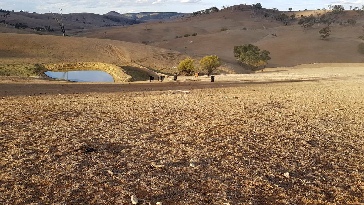 How should it be spent? Gee flags another $1m in drought funding
