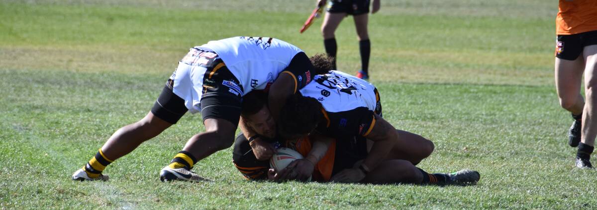 The Tigers defence was too strong for the Workies, as they only scored once during the match. 