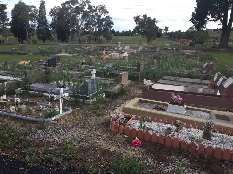 MESS: Portland's cemetery has weeds popping up all over the site. Picture: SUPPLIED. 