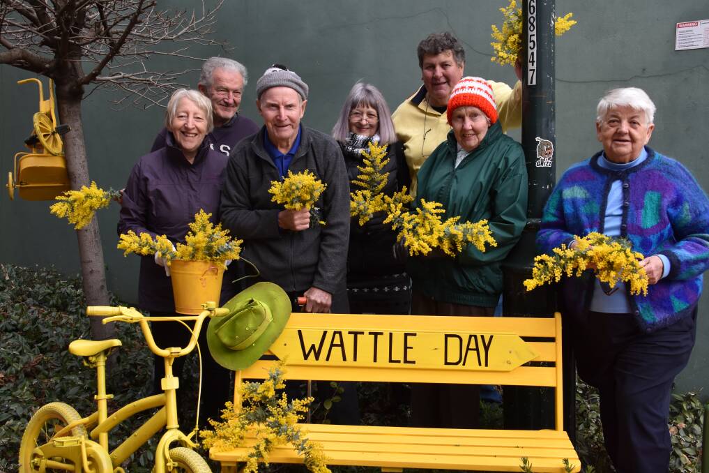 WATTLE DAY: Lithgow Tidy Towns members braved the cold to decorate Gallery Lane with bright yellow objects. Picture: CIARA BASTOW 