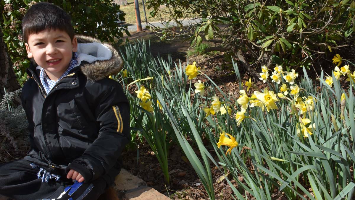 SMILES: Laughlin Willoughby from Dubbo visits the Daffodils at Rydal in 2019. 