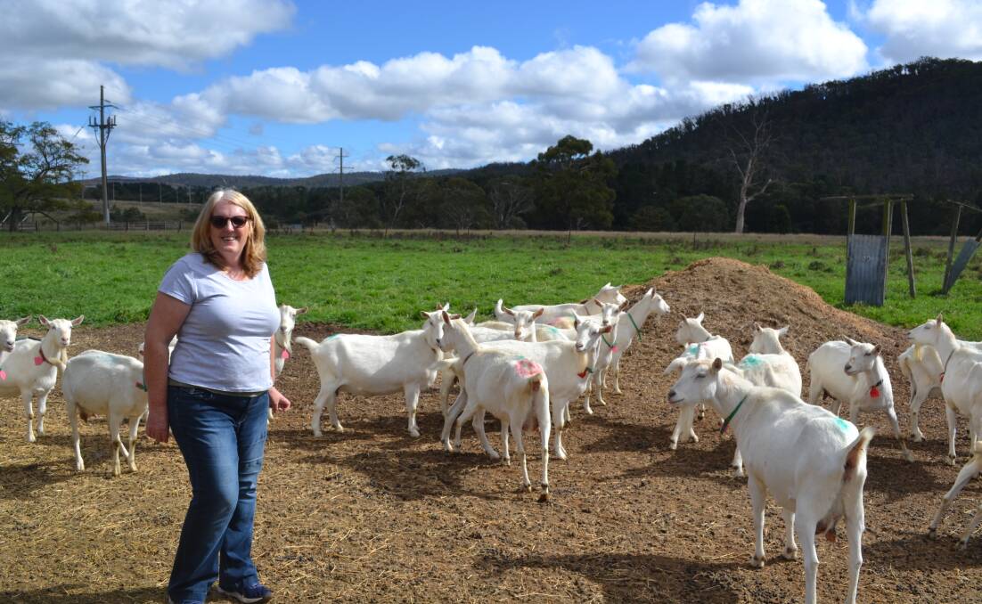 SUNSHINE: Janet Watson has many big plans for the Goat Dairy that she hopes to implement. 