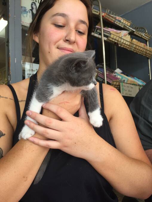 Isabel Castillo with one of the cute kittens up for adoption. 