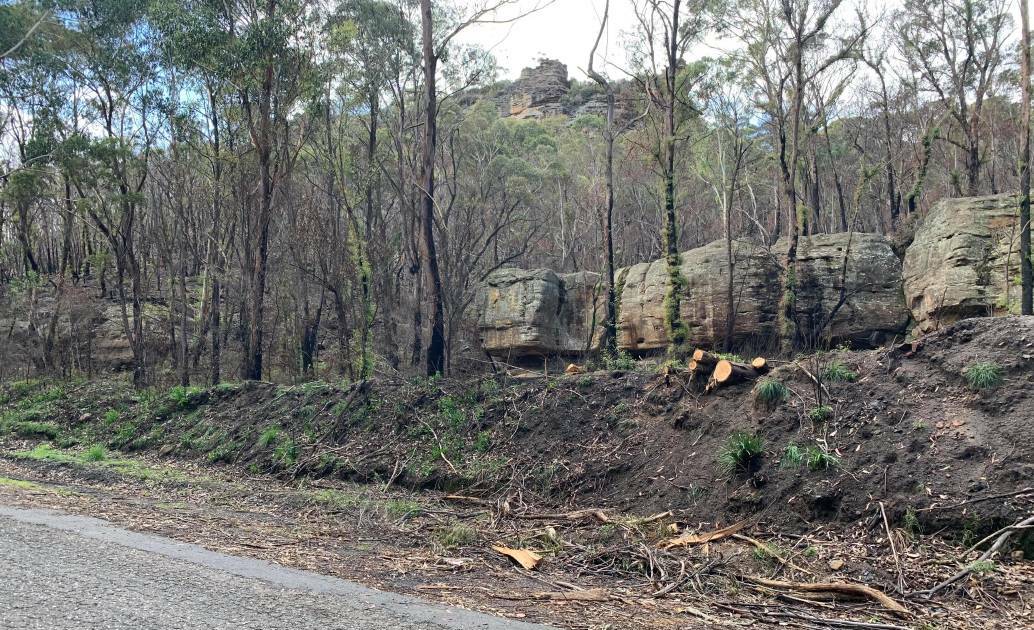 Newnes State Forest reopens after extensive bushfire impact. Picture: ALANNA TOMAZIN. 